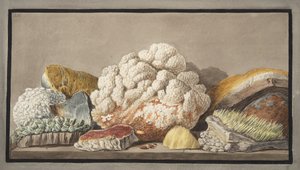 Productions of the Solfaterra, Plate 9 from 